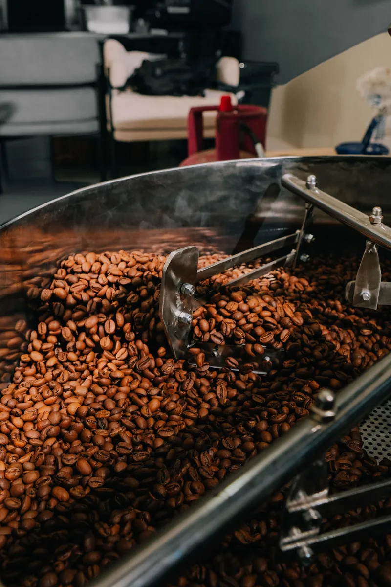 Freshly roasted beans in the cooling tray