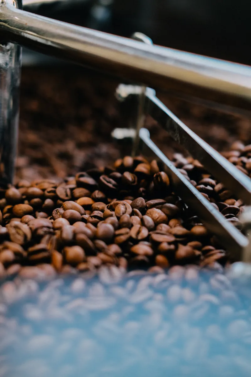 Roasted beans up close